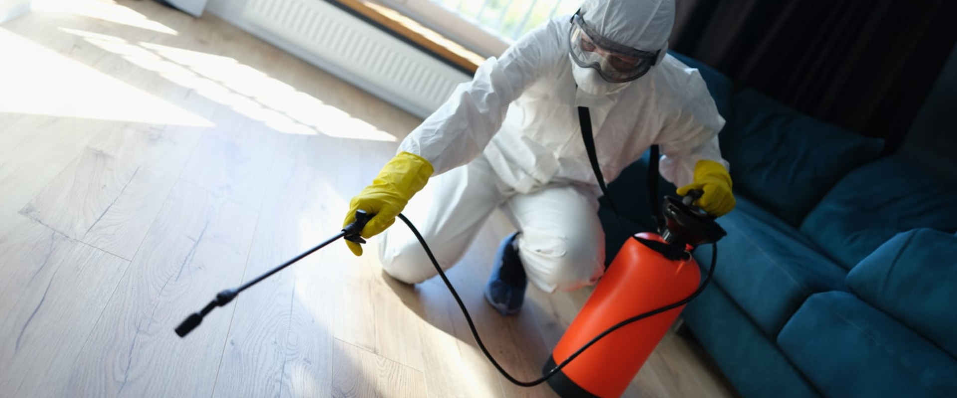 Why A Home Inspection Service Provider Should Partner With A Pest Control Company In Pittsburgh?
