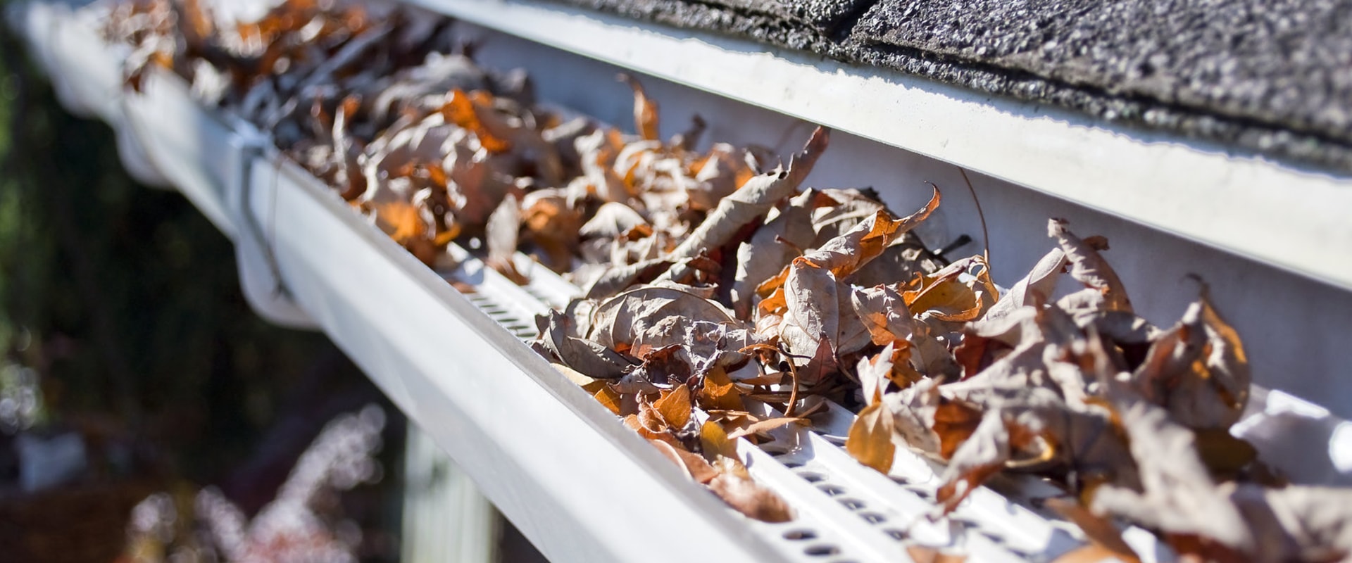 Why Gutter Cleaning In Orlando, FL Is Essential Before Home Inspection Services
