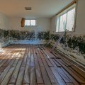 No Surprises: How Mold Remediation Services Ensures Readiness For Home Inspection Services In Greater SLC