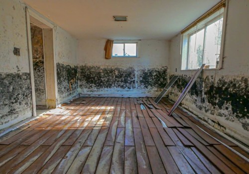 No Surprises: How Mold Remediation Services Ensures Readiness For Home Inspection Services In Greater SLC