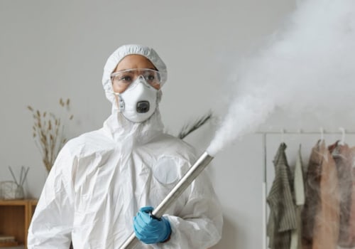 Why You Need A Pest Control Expert For Effective Home Pest Defense And Inspection Services In Las Vegas?